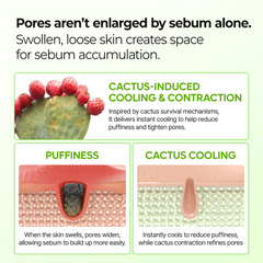 Dr.Melaxin Cactox & CalciumMulti Balm Pore Firming Duowith Cactus Cooling & Eye CareStick for Visible Pore Refiningand Skin Repair